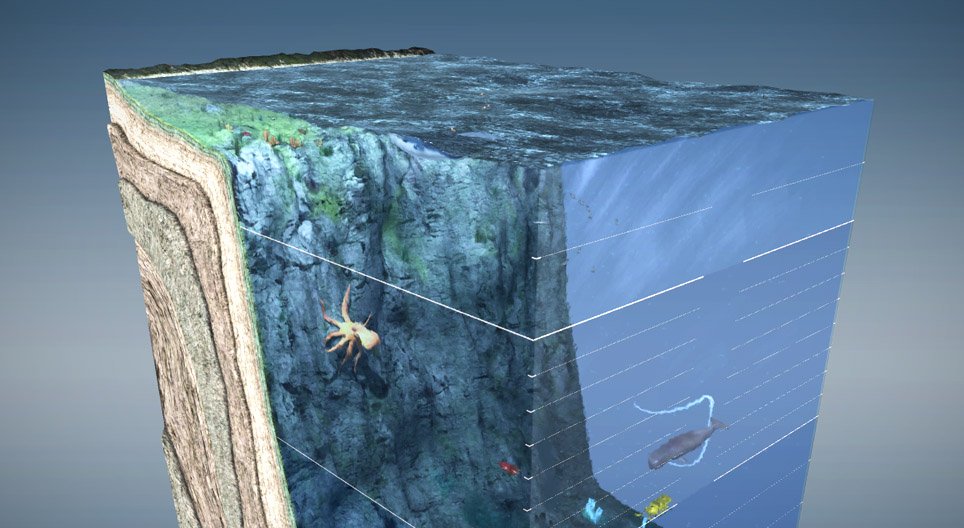 Океанские слои