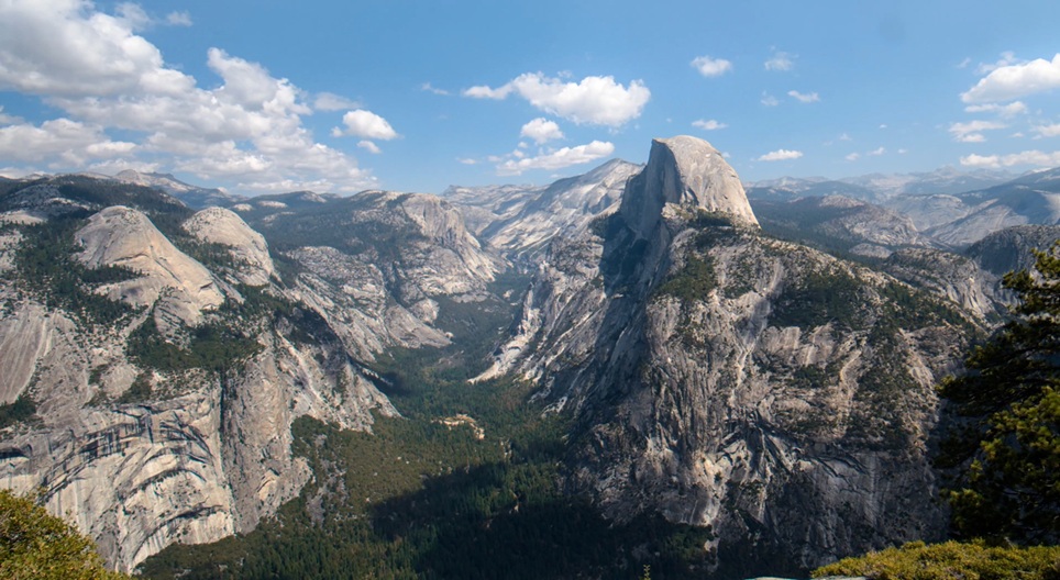 Образовательные видео