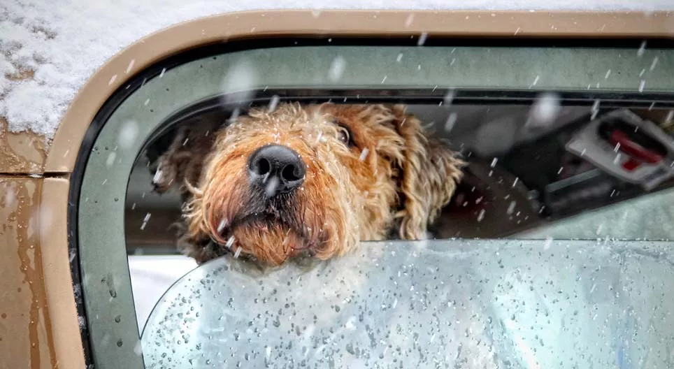 Projekt zameraný na počasie