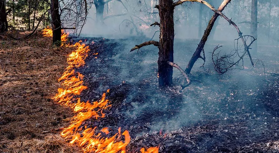 Odkedy používame oheň?