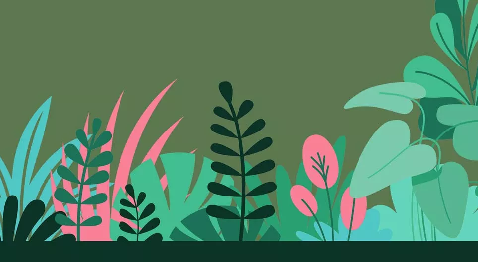 Rastliny s nedrevnatejúcou stonkou