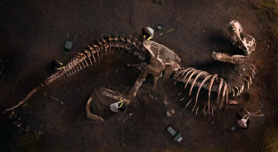 Čo nám hovoria fosílie?