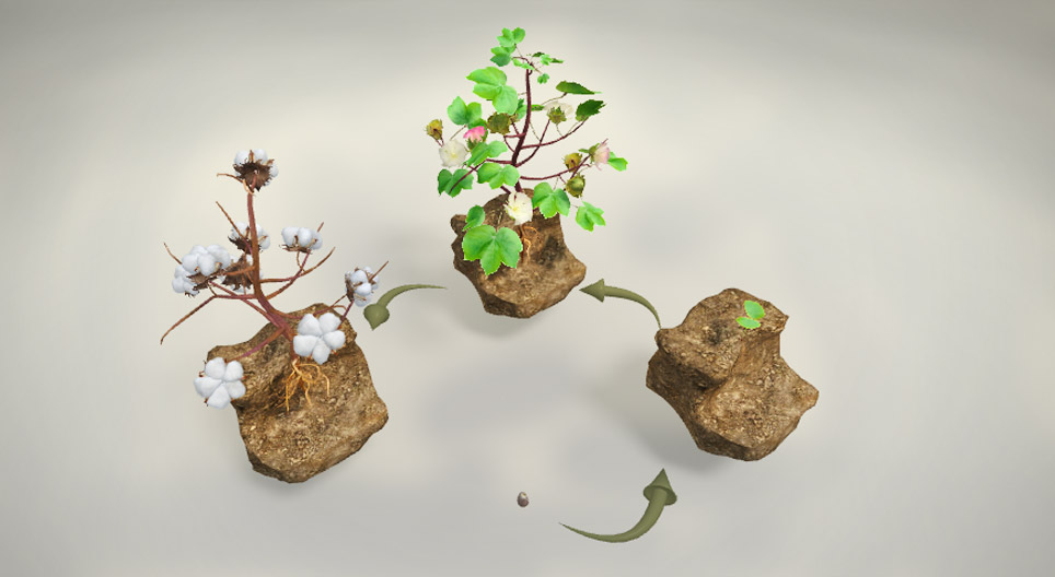 Z čoho sa vyrába bavlna?