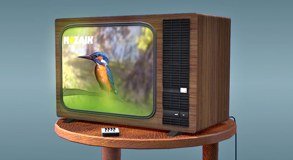 Ako to funguje? - Televízor (CRT)