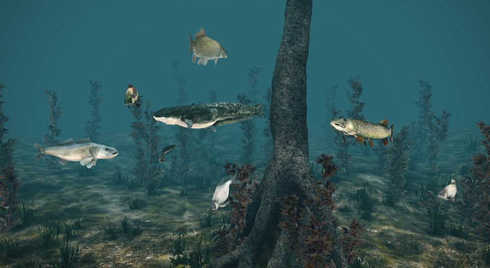 Vrste sladkovodnih rib