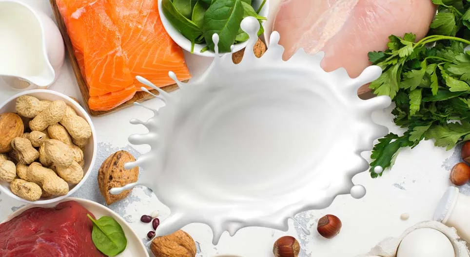 Gradivni materijali ljudskog tela: proteini