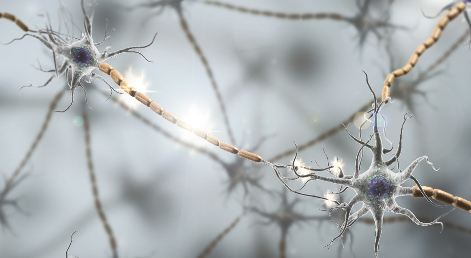 Funkcionisanje neurotransmitera