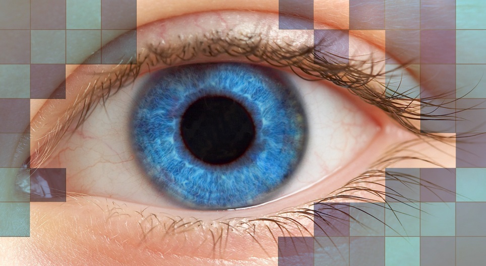 Obrazovni video-snimci