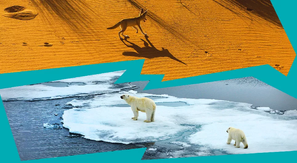 Varför finns det öknar och istäcken på jorden?