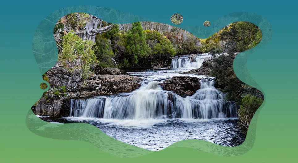 Vattenlevande mikroorganismer