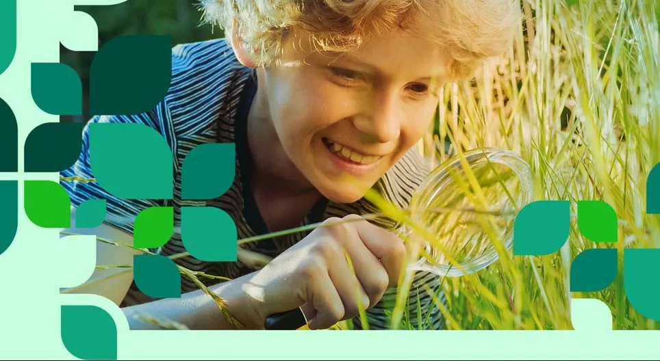 Slätternas flora och fauna