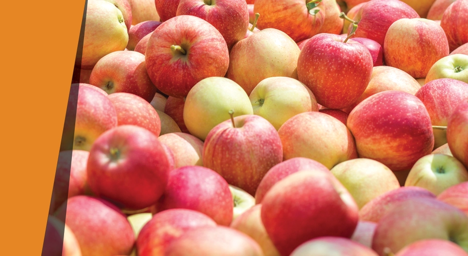 Äpple med mandeldoft