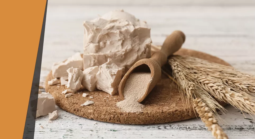 Jäst med uppblåsningsförmåga