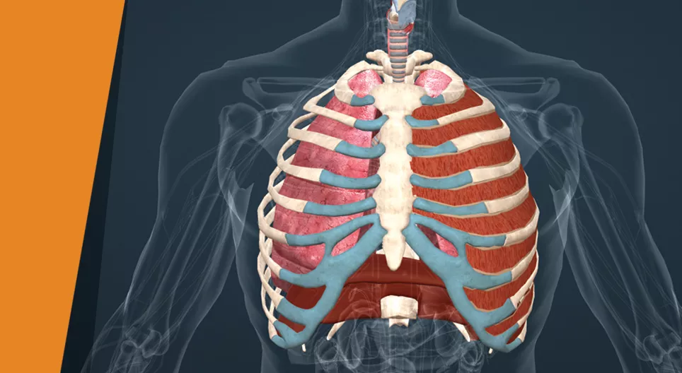 Ta ett djupt andetag