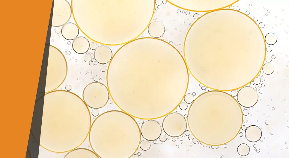 Fett som försvinner