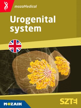 Book MS-6705-EN