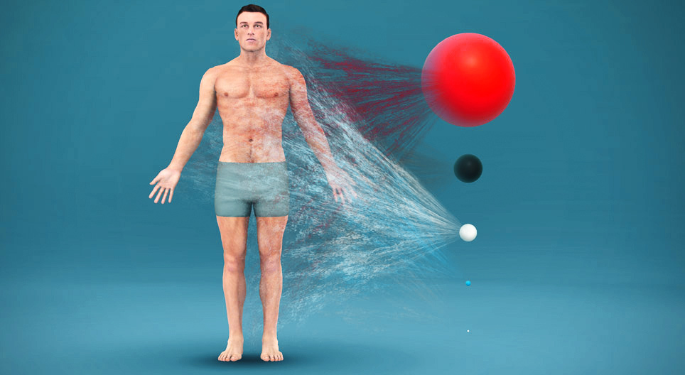 ร่างกายของมนุษย์ประกอบด้วยอะไรบ้าง?