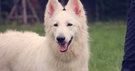 Оперантно кондициониране