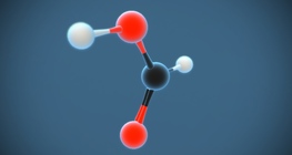 Formic acid (methanoic acid) (HCOOH)