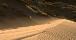 Where all water disappears - The Desert