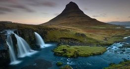 Исландия: тундрата цъфти