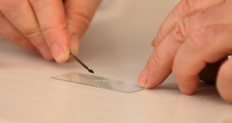 Potatisprov genom skrapning