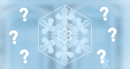 The shape of snowflakes
