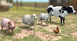 Livestock