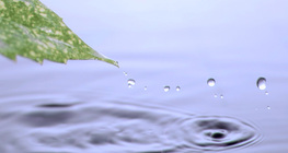 The surface tension of water