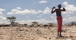 Indigenous peoples in Africa - The nomads