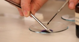 Изследване на клетъчната стена на растение