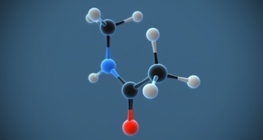 N-methylacetamide (C₃H₇NO)