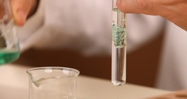 Gallans fettförbränningseffekt