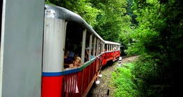 Narrow-gauge railway