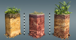 Типове почви (почвени профили)