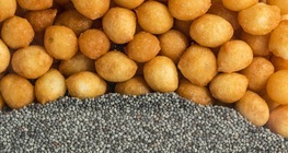 Свойства на телата: маса, обем и плътност