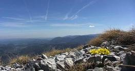 Mountain climate zones