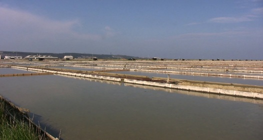 Жалаңаш еркектер