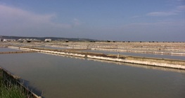 Добиване на сол чрез изпаряване на морска вода
