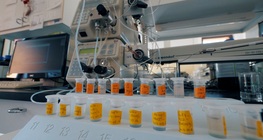 Honungsförfalskning