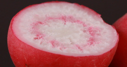 Растеж на репичка