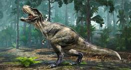 Tyrannosaurus rex (türannsisalik)