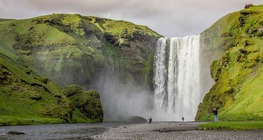 Външни (екзогенни) сили