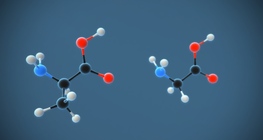 Peptide bond