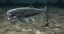 Prehistoric armoured fishes