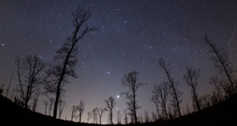 Sceneries and the starry sky