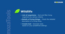 Wildlife worksheet tutorial
