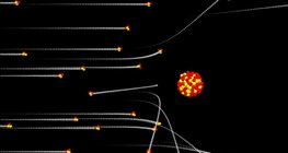 The Rutherford experiment