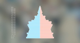 Пирамида на населението