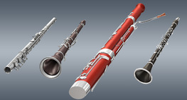 Woodwind instruments